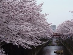 2015年4月1日の様子