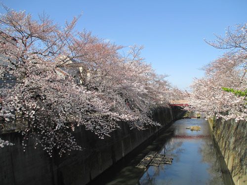 2018年3月24日の様子