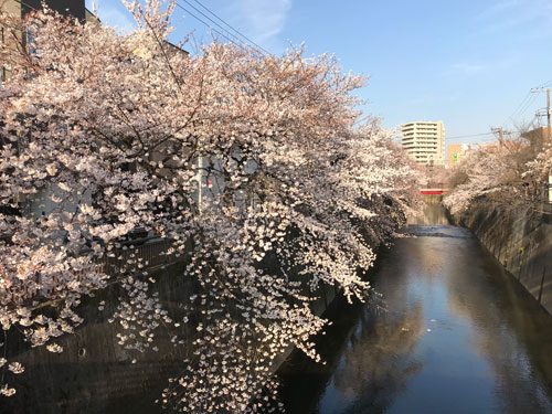 2018年3月26日の様子