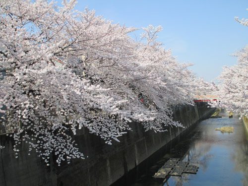 2018年3月27日の様子