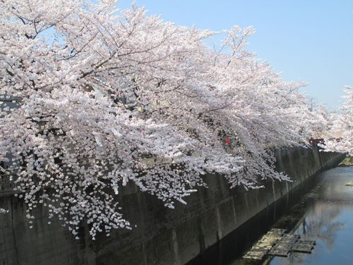 2018年3月28日の様子