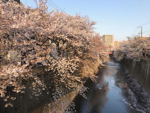 2018年3月30日の様子