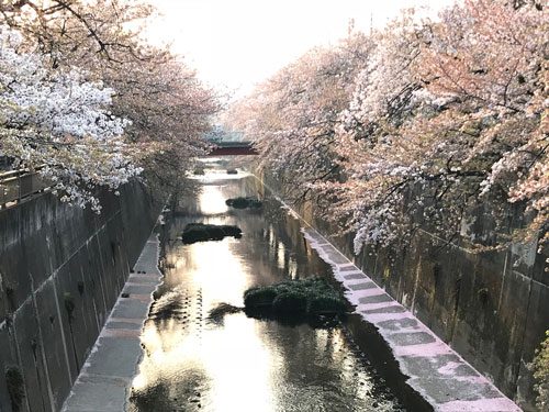 2018年4月2日の様子