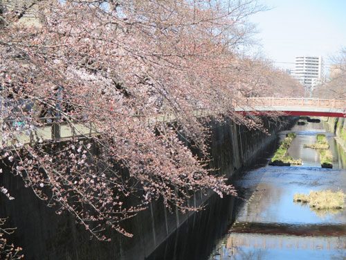 2019年3月24日の様子