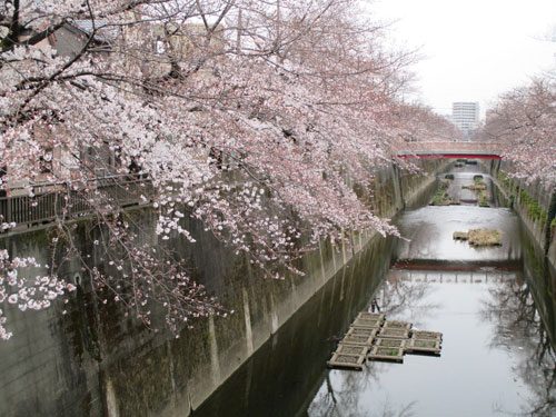 2019年3月26日の様子