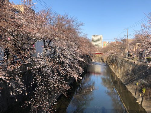 2019年3月27日の様子