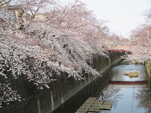 2019年3月28日の様子