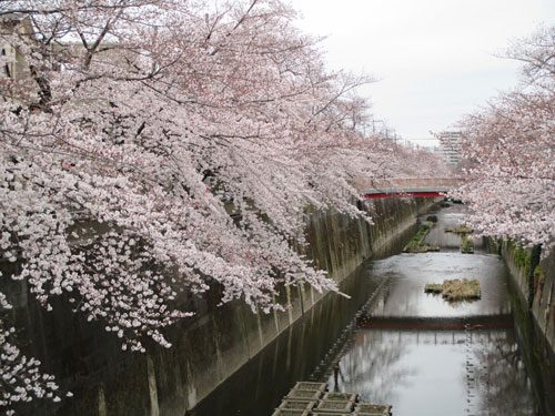 2019年3月29日の様子