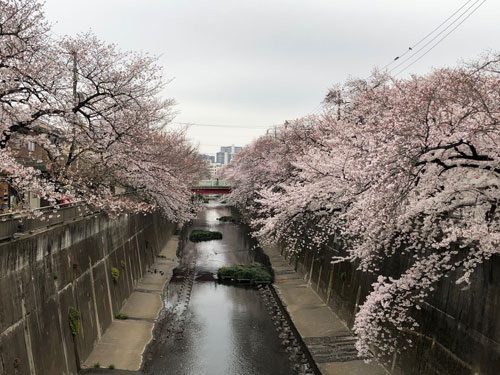 2019年3月30日の様子