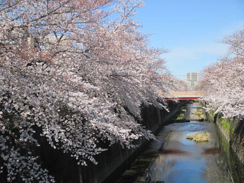 2019年4月1日の様子