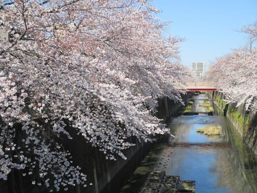 2019年4月2日の様子