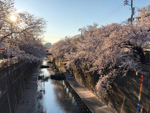 2019年4月3日の様子