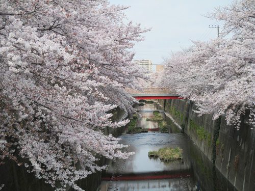 2019年4月7日の様子