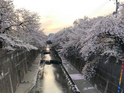 2019年4月6日の様子