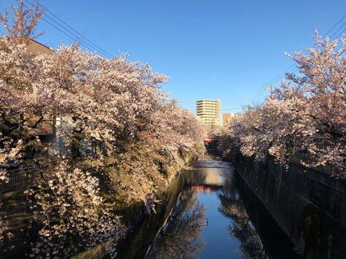 2019年4月9日の様子