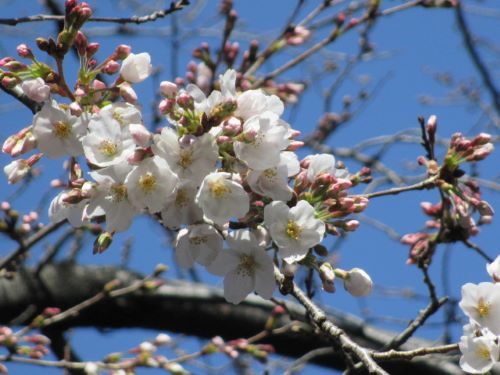 2020年3月18日の様子