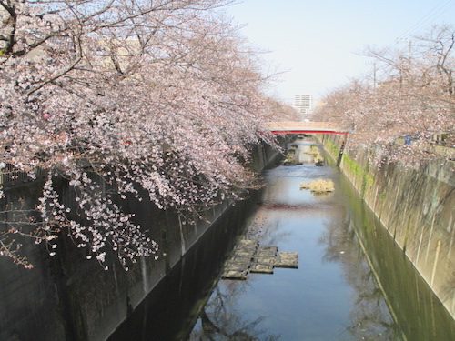 2020年3月22日の様子