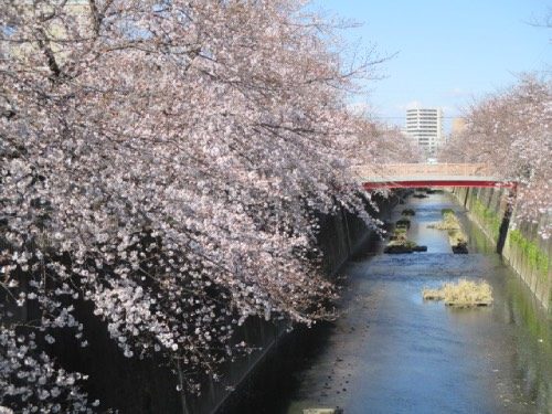 2020年3月24日の様子