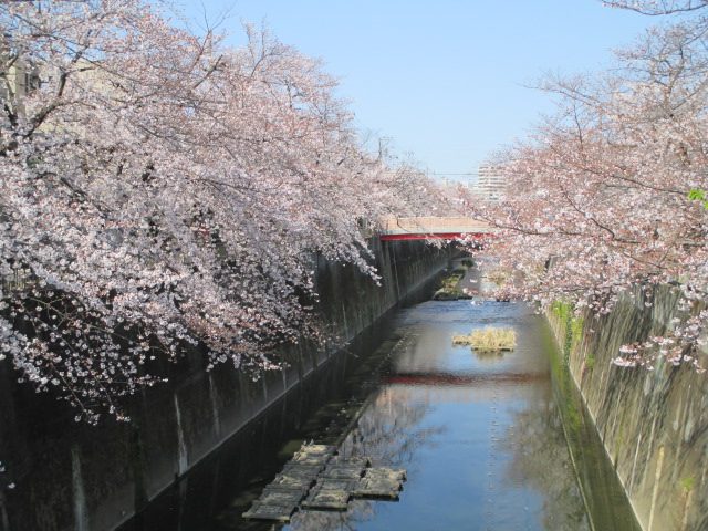 2020年3月26日の様子