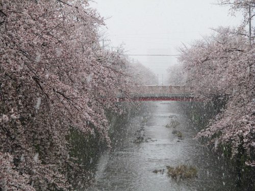 2020年3月29日の様子