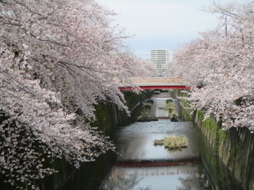 2020年3月30日の様子