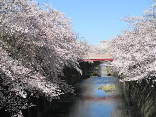 2020年4月2日の様子