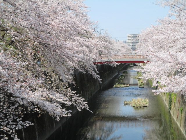 2020年4月3日の様子