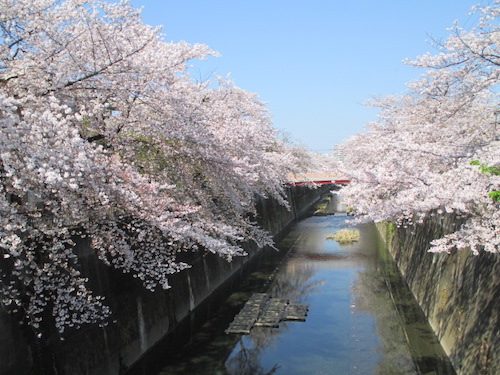 2020年4月4日の様子