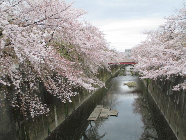 2020年4月5日の様子