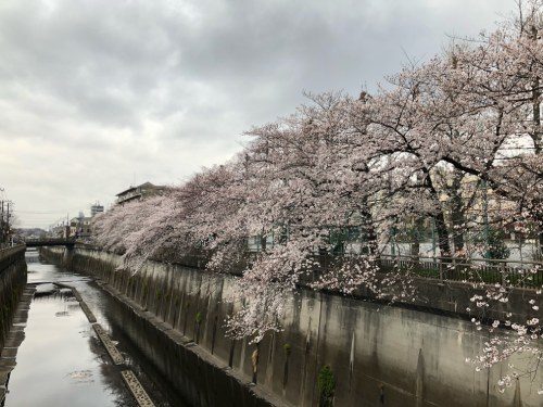 2021年3月28日の様子