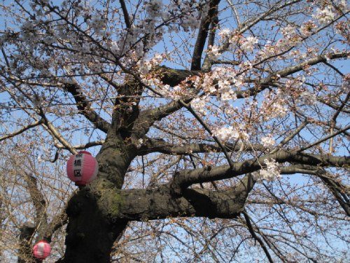 2021年3月18日の様子