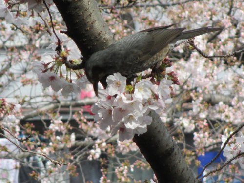 2021年3月22日の様子