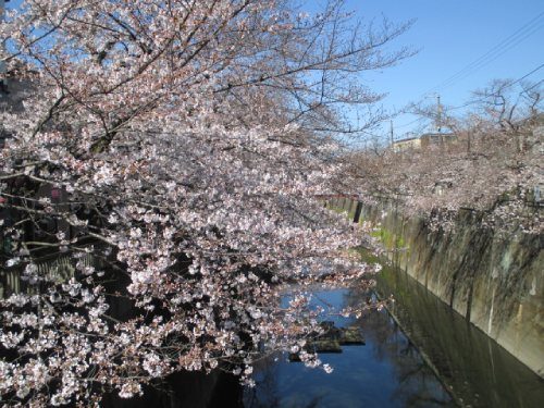 2021年3月23日の様子