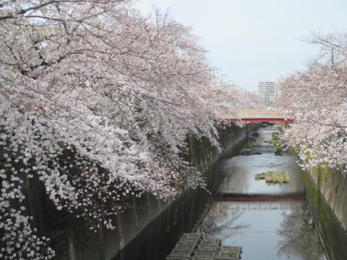 2021年3月25日の様子