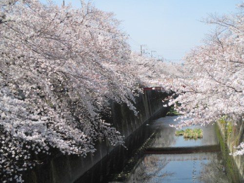 2021年3月27日の様子