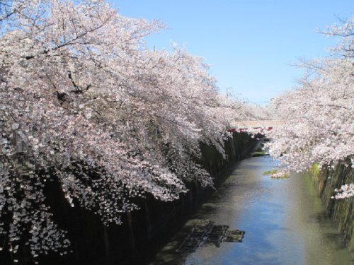 2021年3月29日の様子