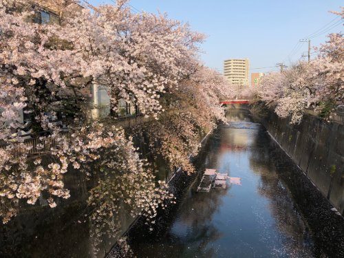 2021年3月31日の様子