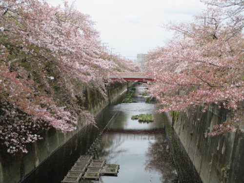 2021年4月3日の様子