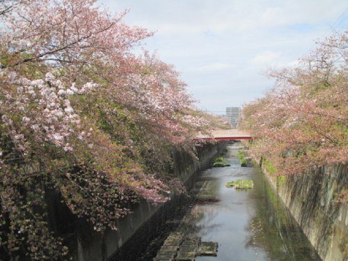 2021年4月4日の様子