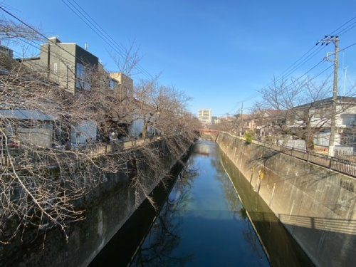 2022年3月10日の様子