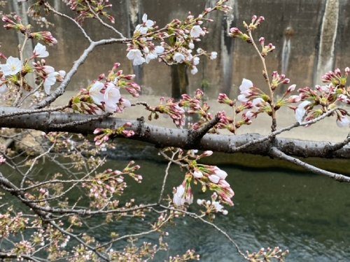 2022年3月21日の様子