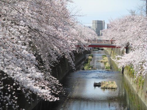 2022年3月28日の様子