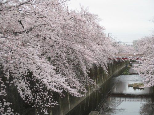 2022年3月29日の様子