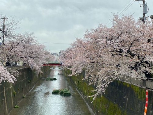 2022年4月1日の様子