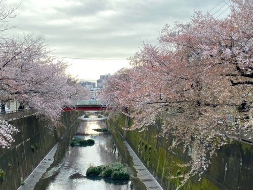 2022年4月5日の様子