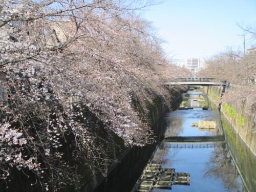 2023年3月19日の様子