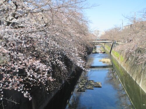 2023年3月20日の様子