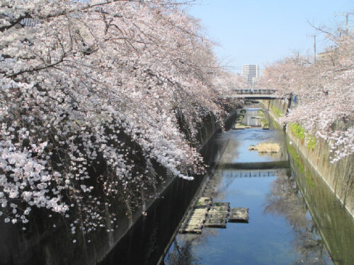 2020年3月22日の様子