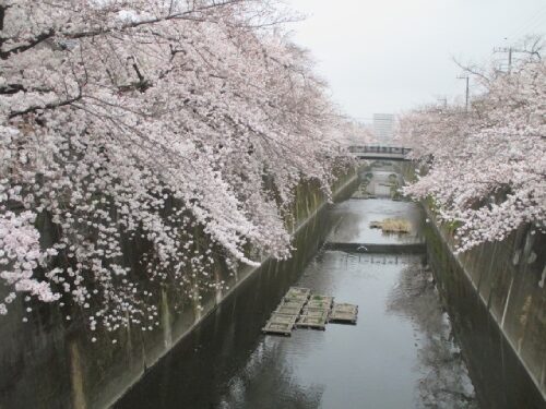 2023年3月23日の様子