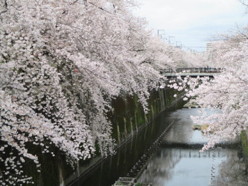 2023年3月27日の様子